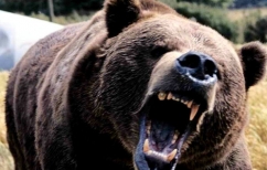 ΝΕΑ ΕΙΔΗΣΕΙΣ (Η ρώσικη οικονομία μπροστά στην άβυσσο)