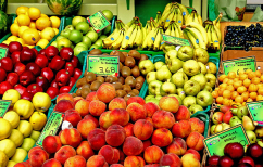 ΝΕΑ ΕΙΔΗΣΕΙΣ (Η Μόσχα «κόβει» της εισαγωγές ελληνικών φρούτων – Αιτία το παράσιτο «Grapholita molesta»)