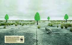 ΝΕΑ ΕΙΔΗΣΕΙΣ (Συγκλονιστική WWF: Επιστρέψτε στη φύση (ΒΙΝΤΕΟ))