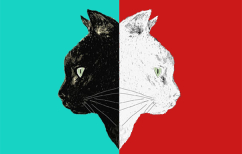 ΝΕΑ ΕΙΔΗΣΕΙΣ (Άσπρη γάτα, μαύρη γάτα)