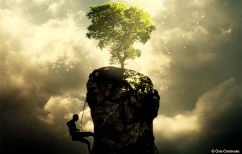 ΝΕΑ ΕΙΔΗΣΕΙΣ (Ποιο είναι το #2 συστατικό της επιτυχίας)