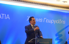 ΝΕΑ ΕΙΔΗΣΕΙΣ (Κοπή Πρωτοχρονιάτικης Πίτας του Άδωνι Γεωργιάδη (ΦΩΤΟ))