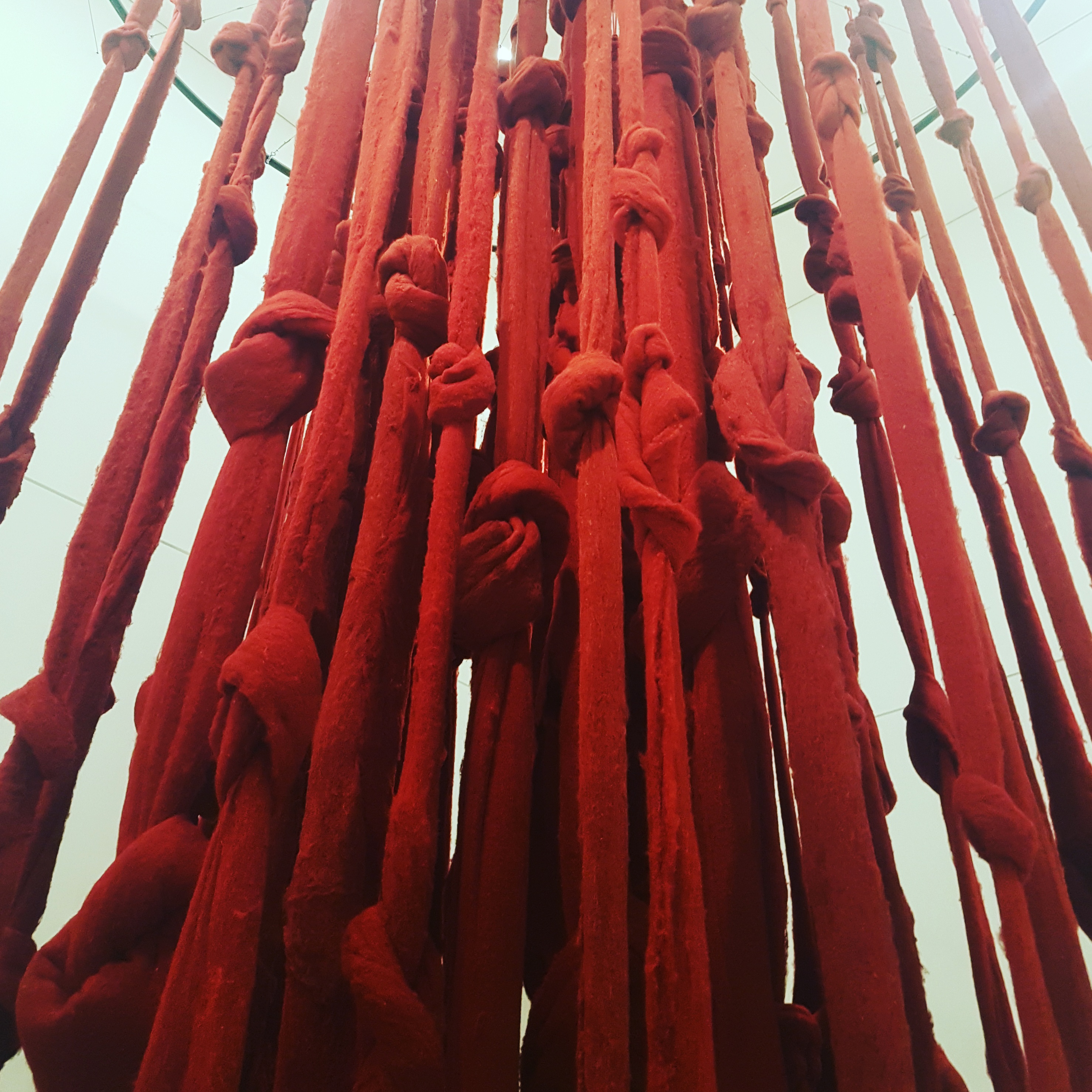 IMG_20170430_152729_511