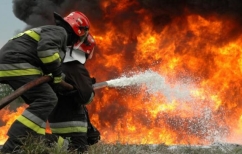 ΝΕΑ ΕΙΔΗΣΕΙΣ (WWF: Ανέτοιμη και φέτος η Ελλάδα απέναντι στον κίνδυνο των πυρκαγιών)