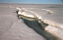 ΝΕΑ ΕΙΔΗΣΕΙΣ (Απόλυτο ρεκόρ ζέστης καταγράφηκε στον Βόρειο Πόλο – Πού σκαρφάλωσε η θερμοκρασία)